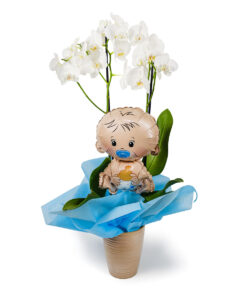 Ορχιδέα με Μπαλόνι για Αγόρι