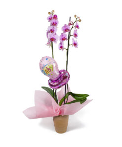 Ορχιδέα με Μπαλόνι για Κορίτσι