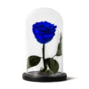 Forever Rose Blue Small