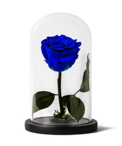 Forever Rose Blue Small