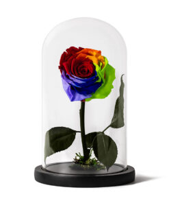 Forever Rose Rainbow Small