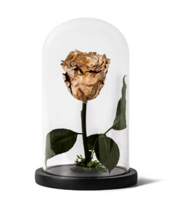 Forever Rose Gold Small