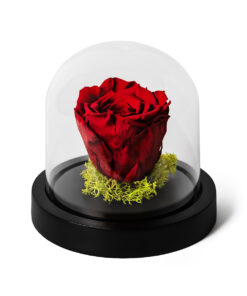 Forever Rose Red Mini