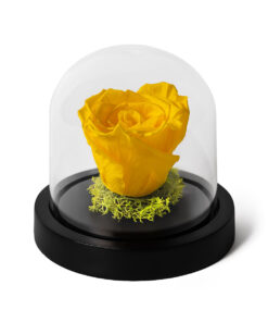 Forever Rose Yellow Mini