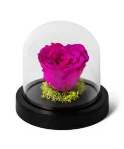 Forever Rose Dark Pink Mini