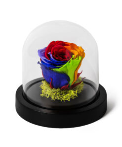 Forever Rose Rainbow Mini