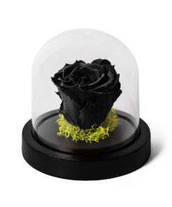 Forever Rose Black Mini