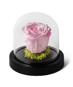 Forever Rose Pink Mini