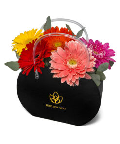 Τσαντάκι Ζέρμπερες