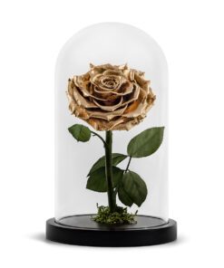 Forever Rose Gold XL